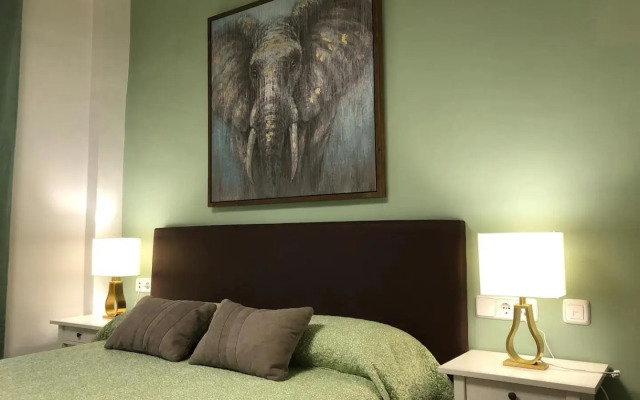 Increíble Apto1º San Miguel-Centro-Catedral-Wifi-Parking