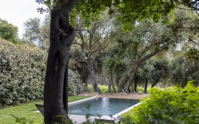 Domaine de Peretti della Rocca