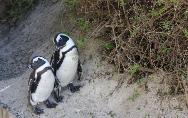 Boulders Beach House