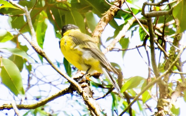 The Grange on Kalgan Farm Stay Albany