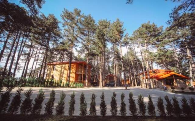 Resort 5 Stars Telavi