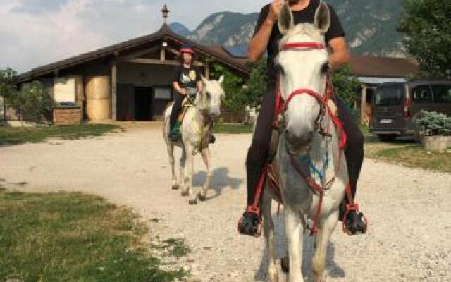 B&B Agritur Airone