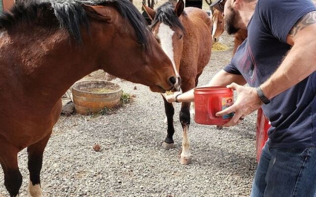The Lodge at Lazy Bear Retreat