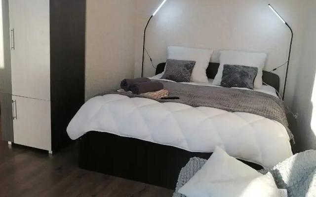 Apartments on Kirova street 206A