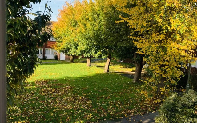 SA Today Farnham with Fibre Wi-Fi & Netflix