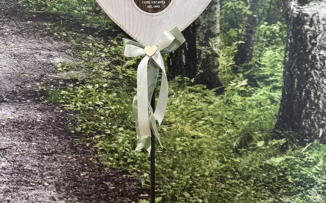 vulcano case vacanza selvino