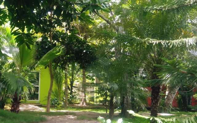 Green Jungle Hotel y Restaurante