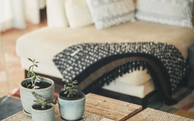 Vale Pisco Villa De Sonho