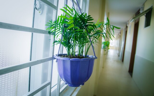 Phuong Phuong 2 Hotel