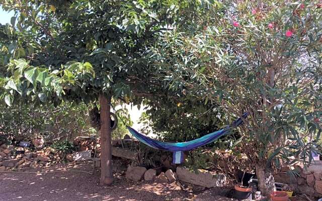 Caseddu di Chjarastella