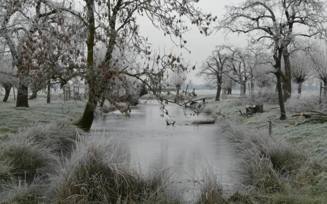 de Boomgaard Groene Hart