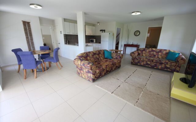 Geckos at South West Rocks