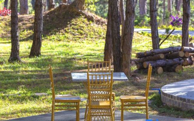 Kim Resort - Khu Nghĩ Dưỡng Rừng Lá Kim