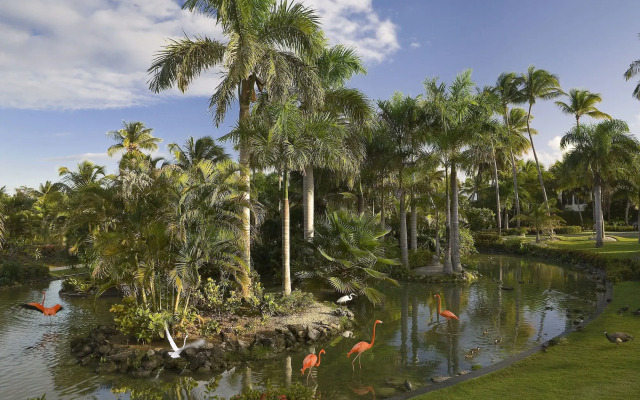 Melia Caribe Beach Resort - All Inclusive