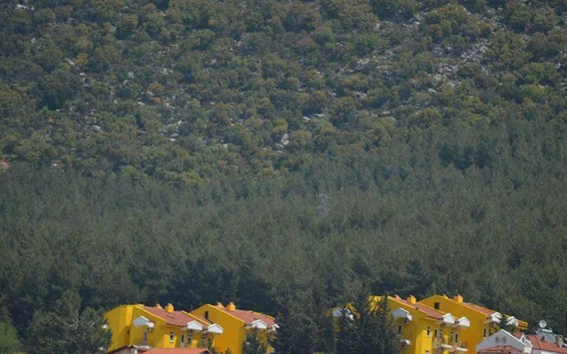 Parachute Hotel