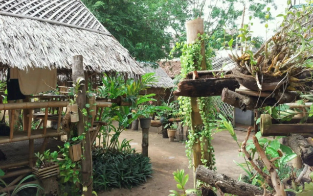Jackie Bamboo House