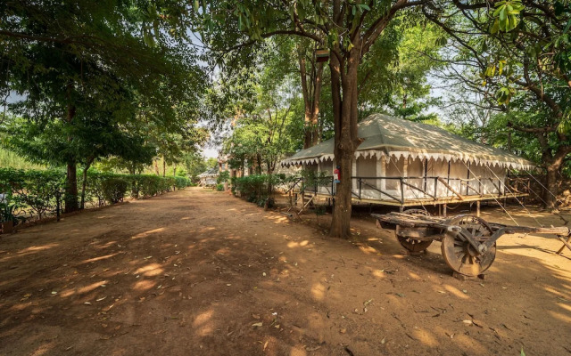 Tiger Machan