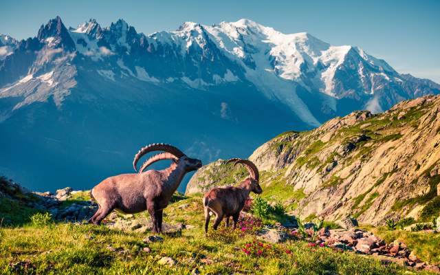 Résidence Grand Roc - Campanules 114