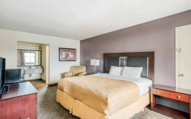 OYO Hotel Alexandria LA - Hwy 165