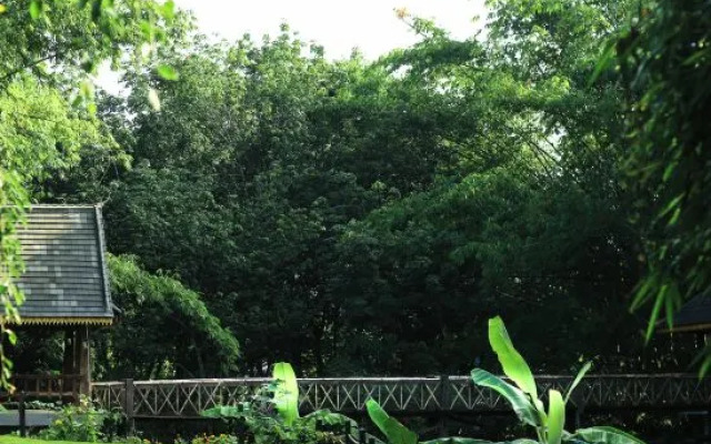 3·SENSE  Resort Xishuangbanna