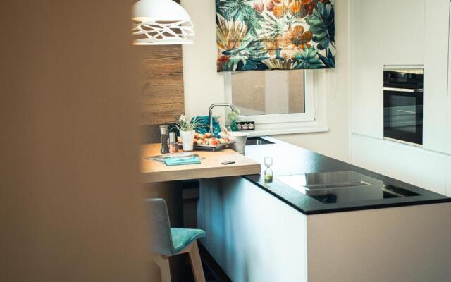 423 penthouse apartment Mayrhofen