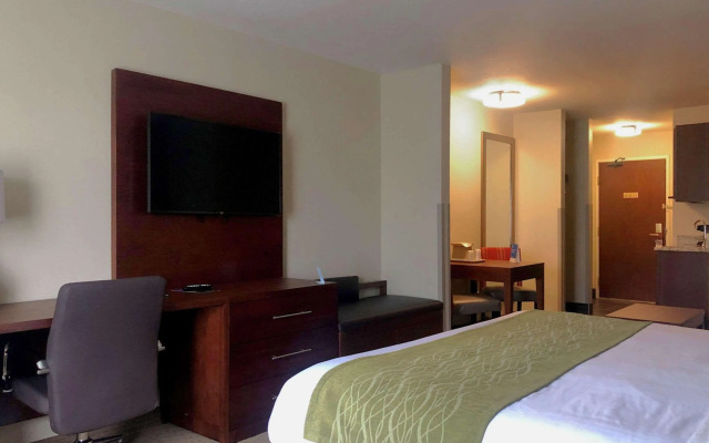 Comfort Inn And Suites Custer