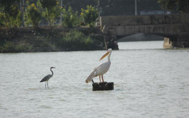 Hotel Shiv lake