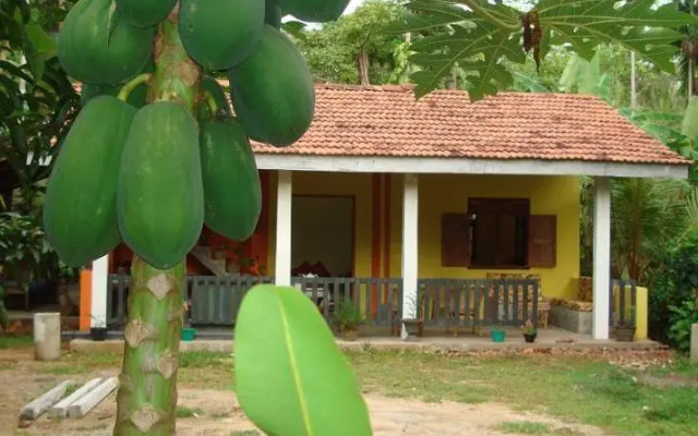 Hikkaduwa River View Cottage