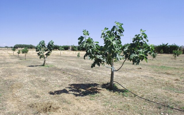 Agriturismo Masseria Galatea