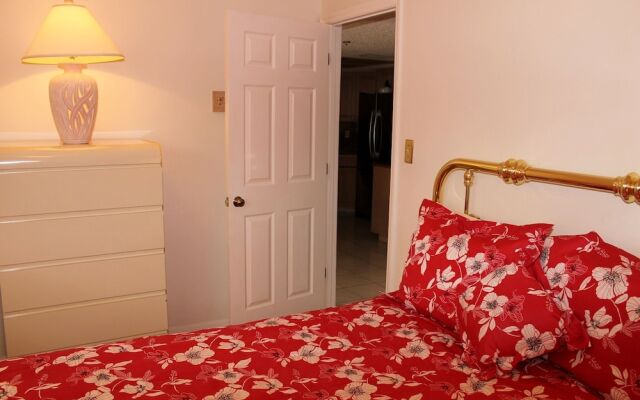Beach Palms 405