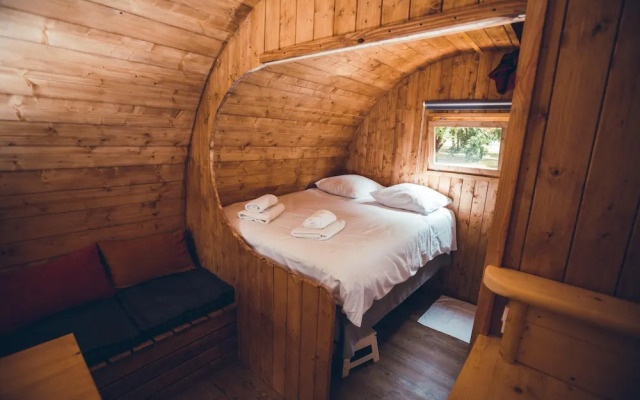 les Insolites de JSK