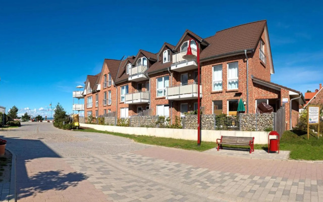 Haus Südwester Seeanemone