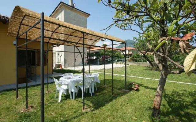 Ciclamino Bianco