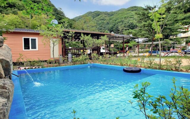 Iris Pension