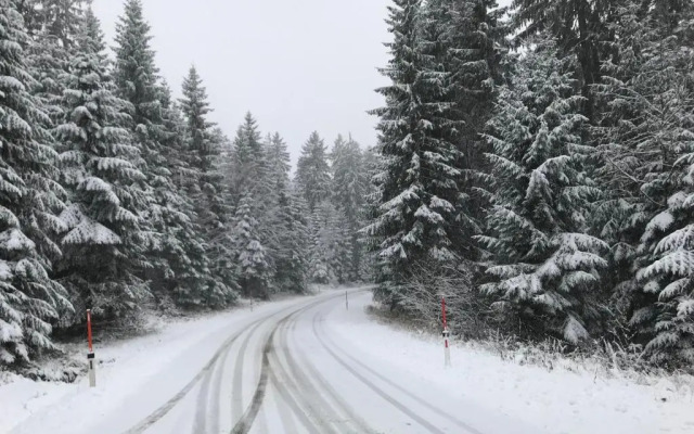 Ferienhaus Grobauer II