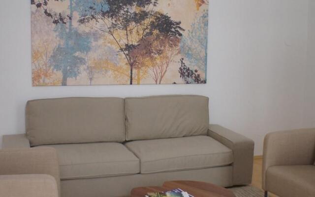 Brilliant Apartment In City Centre