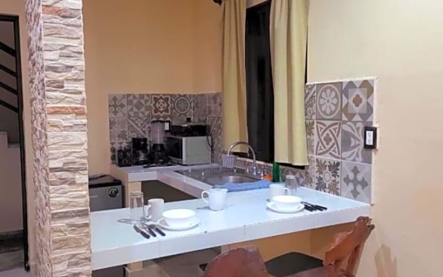 Macondo Raíz Holbox