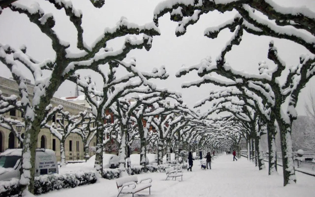 Lolo Vivienda De Uso Turistico 09 27