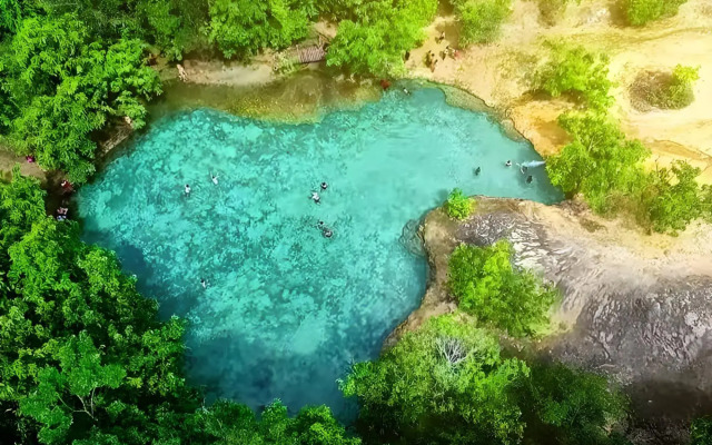 Brown Andaman  Krabi