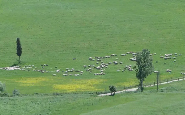 Il pollice verde