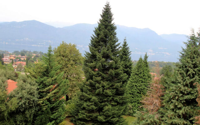 Locazione Turistica Torre