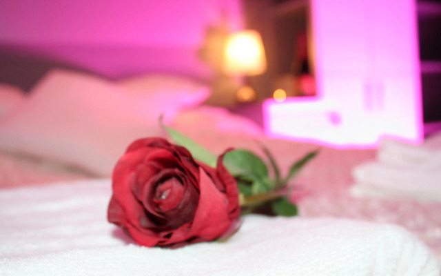 Apartament Centrum 3 Pokojowy