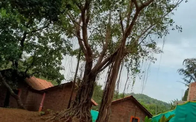 Parvati Gust House