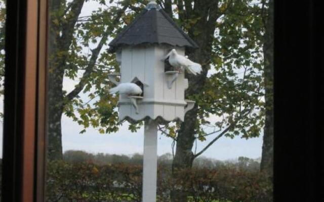 Rosebank Farm B&B