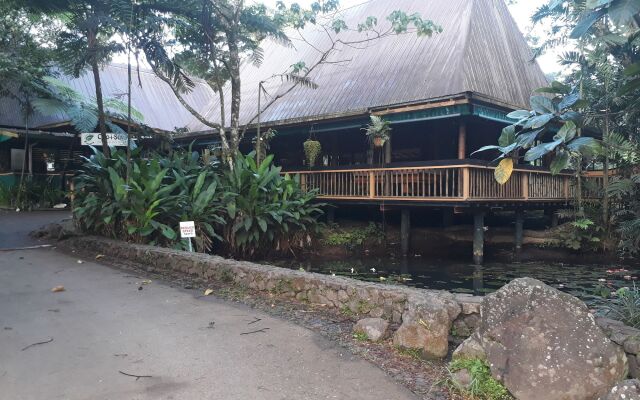 Rainforest Eco Lodge