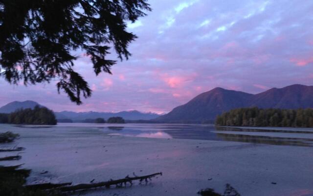 Black Bear Guesthouse