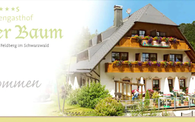 Hotel Höhengasthof Grüner Baum