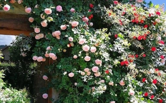 La Ferme Bonne de la Grotte