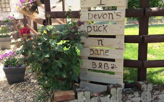 Devon's Duck n Dane B&B