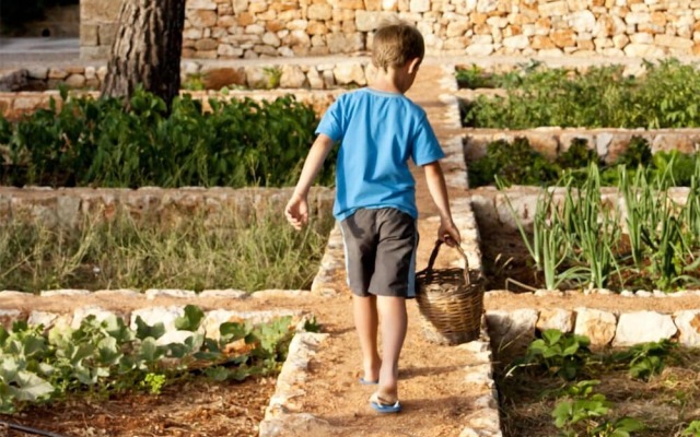Masseria Gianferrante